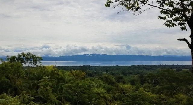 Номер Deluxe Corcovado Private Villas