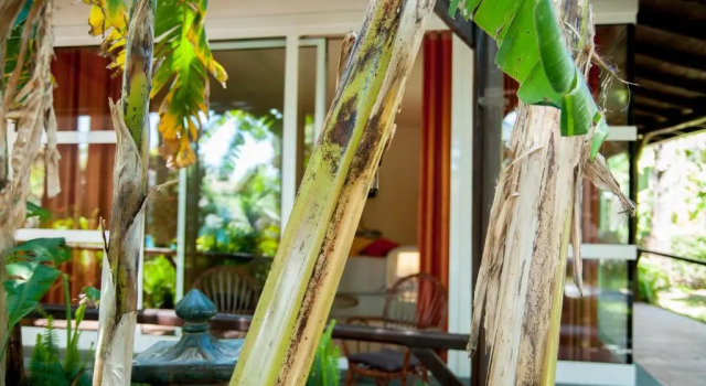 Двухместный номер Standard с видом на сад B&B La Villa