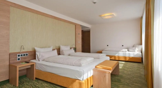 Трёхместный номер Standard Hotel Bildungsblick