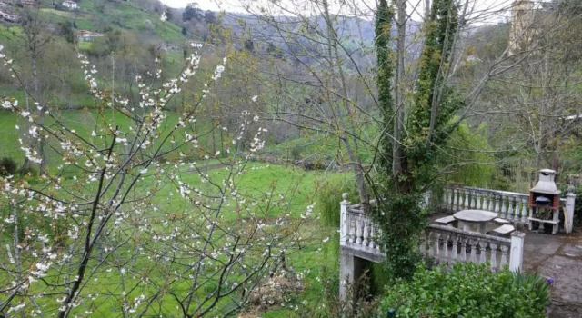 El Vallon I