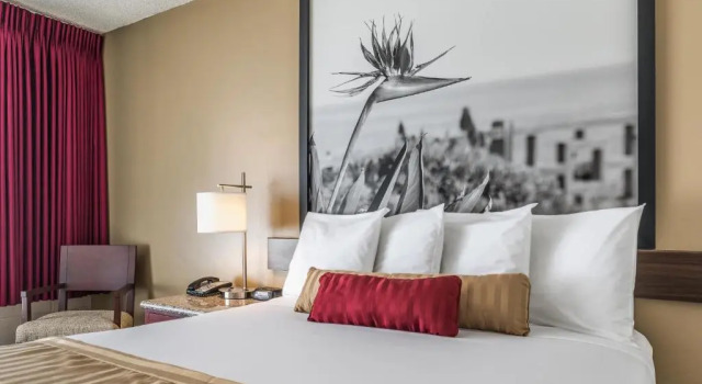 Двухместный номер Kings Inn Anaheim at The Park & Convention Center