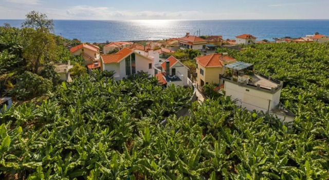 Oscar's House by An Island Apart, Boek Hotel Ponta do Sol Madeira