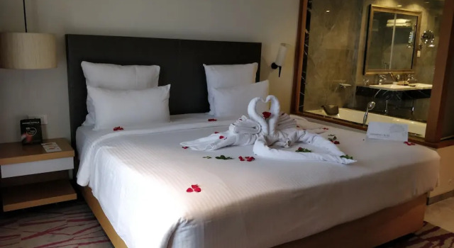 Двухместный номер Executive Novotel Imagica Khopoli Hotel