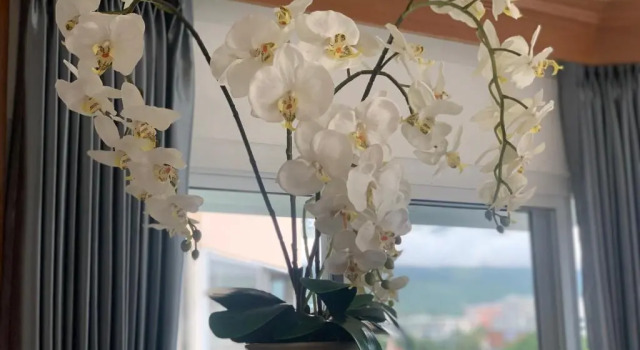 Апартаменты Mountain & City View Panorama at Nimman