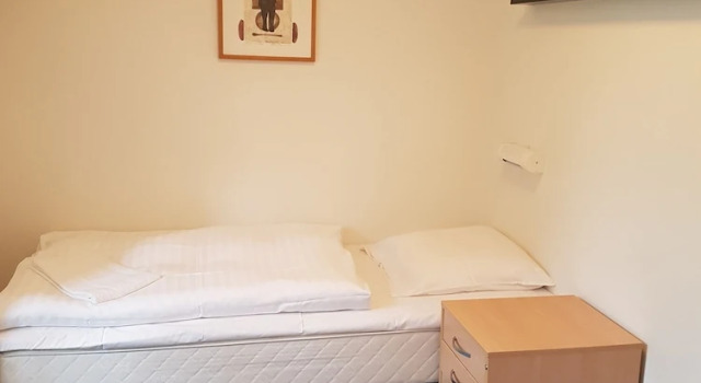Økonomi- Enkelt værelse Danhostel Brande