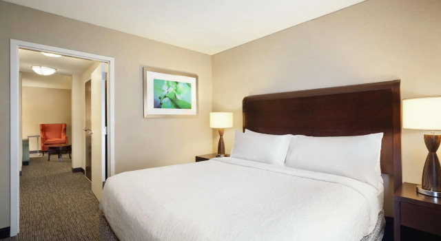 Полулюкс Hilton Garden Inn Atlanta Downtown