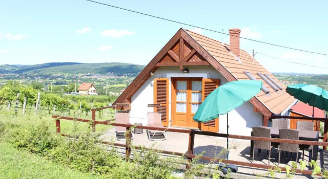 Студия Panorama Wine & Chill