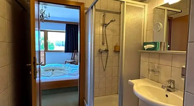 Номер Standard Hotel Alpina Resort nature & wellness