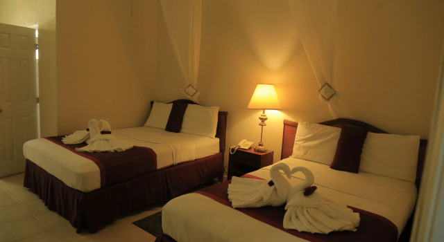 Executive Airport Hotel
