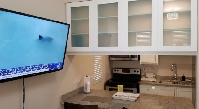 Апартаменты Luxury New Kingston Guest Apartment at Eight
