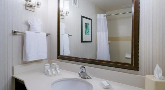 Четырёхместный номер Premium Hilton Garden Inn Valley Forge/Oaks
