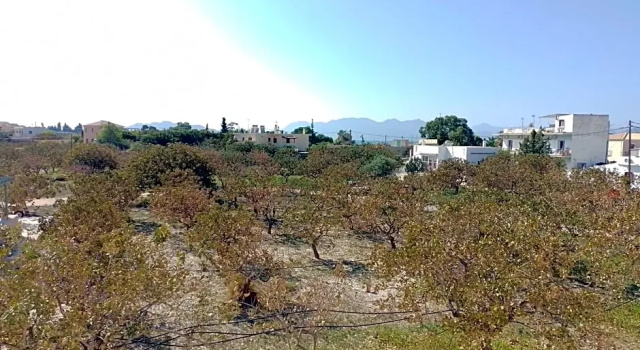 Номер Standard Miranta Hotel - Apartments & Studios