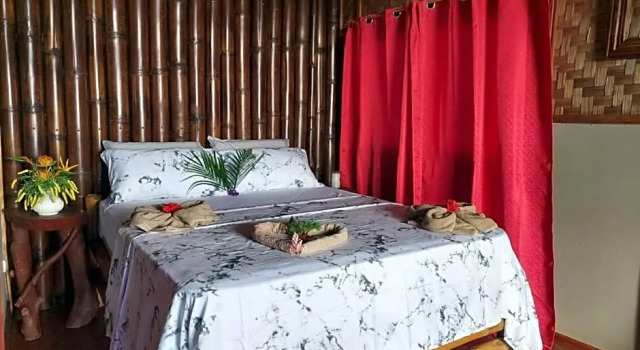 Jungle of peace, Забронировать Отель Отели Сан-Хуан 3 звезды, 3*