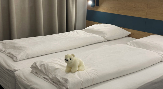 Deluxe double chambre Hotel Aurora