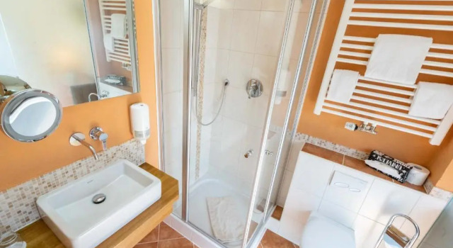 Одноместный номер Standard Hotel Garni Brunnthaler