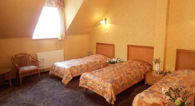 Трёхместный номер Standard Hotel Calisia