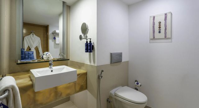Полулюкс Radisson Blu Hotel Pune Kharadi