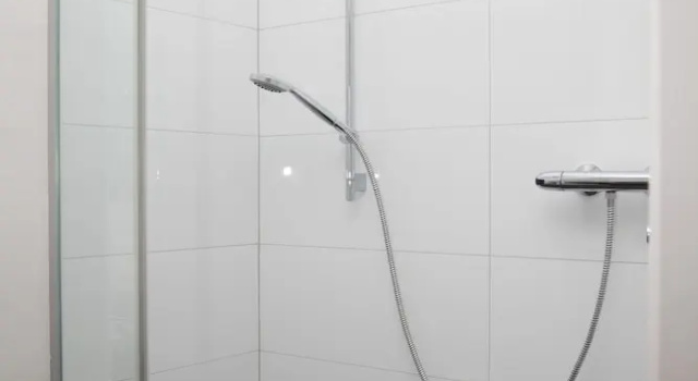 Одноместный полулюкс Bartmanns Haus & Schwan GmbH