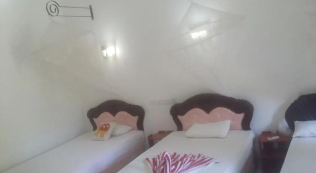 Двухместный номер Standard с балконом Peacock Reach Hotel