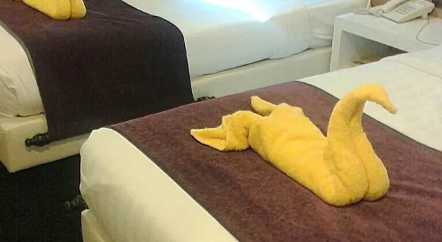 Standart çift kişilik oda DWJ Hotel