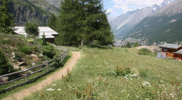 Chalet Z' Flesche, Book Chalet Zermatt Zermatt