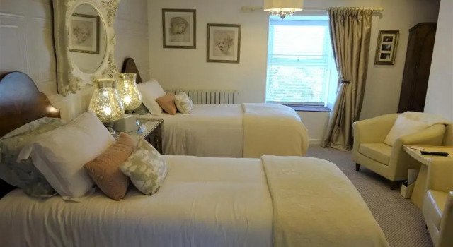Двухместный номер Deluxe Yr Hen Felin - The Old Mill B&B