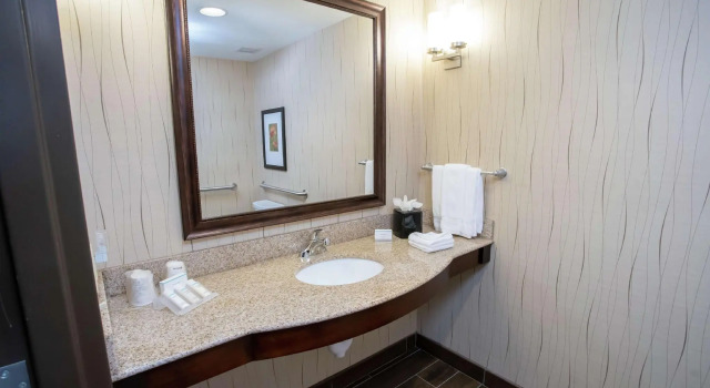 Двухместный номер Standard Hilton Garden Inn Dayton South Austin Landing