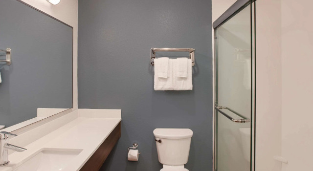 Четырёхместный номер Standard WoodSpring Suites Houston 288 South Medical Center