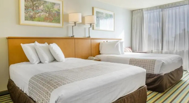 Номер Standard Clarion Hotel Orlando International Airport