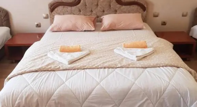 Номер Standard Guest house Vila Bor