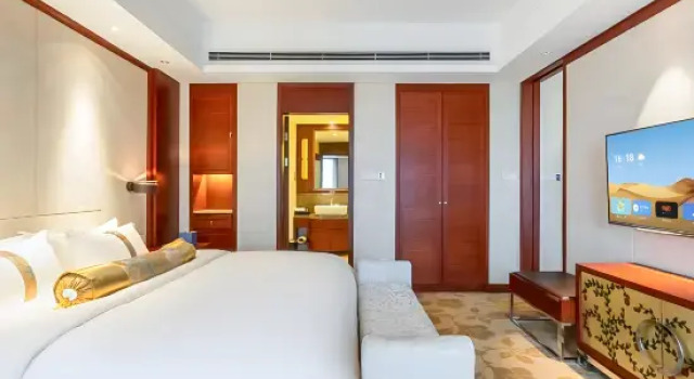 Люкс Deluxe Grand Barony Hotel