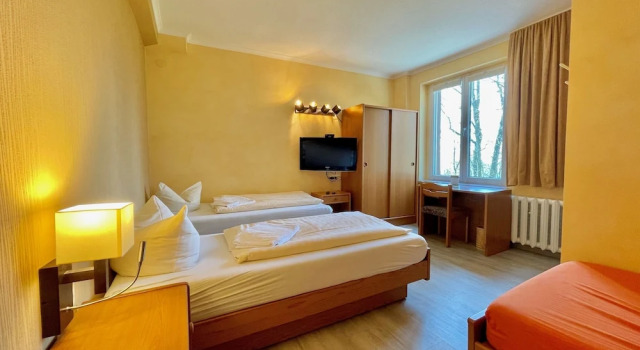 Номер Standard Berghotel Rotstein