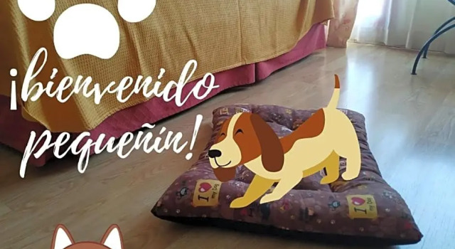 Номер Standard Área de Servicio El Cruce