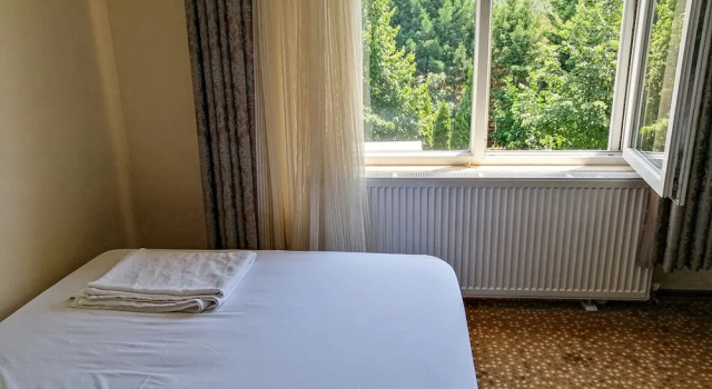Двухместный номер Standard с видом на сад Grand Nicea Hotel