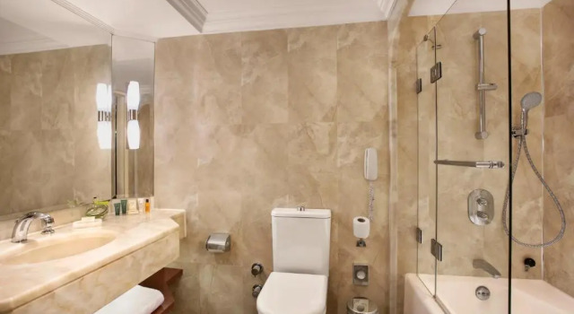 Двухместный номер Deluxe с видом на Босфор Hilton Istanbul Bosphorus