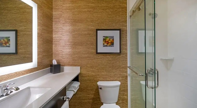 Номер Deluxe Holiday Inn - Terre Haute by IHG