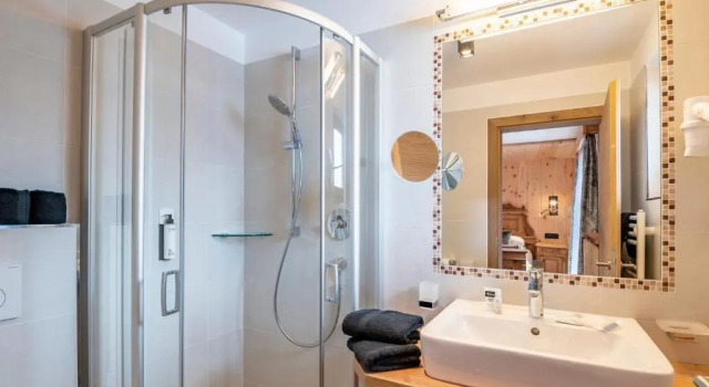 Двухместный номер Comfort Hotel Jägerheim 3S