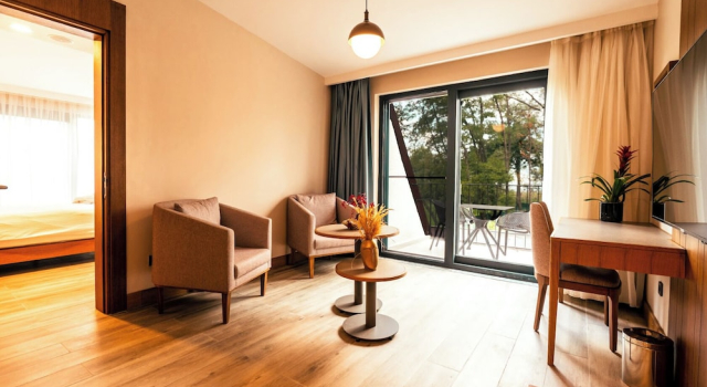 Люкс Deluxe Wellwood Otel