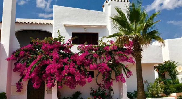 2204-Luxury apt on the beach,new,on duquesa port!