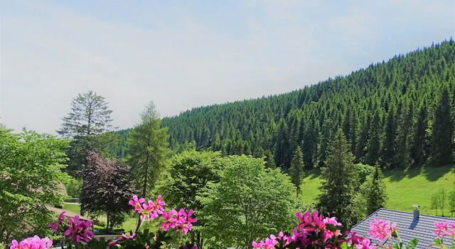 Номер Standard Schwarzwald-Hotel Kraeutle