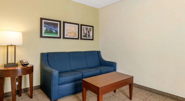 Двухместный люкс Comfort Inn Chattanooga Downtown Southside