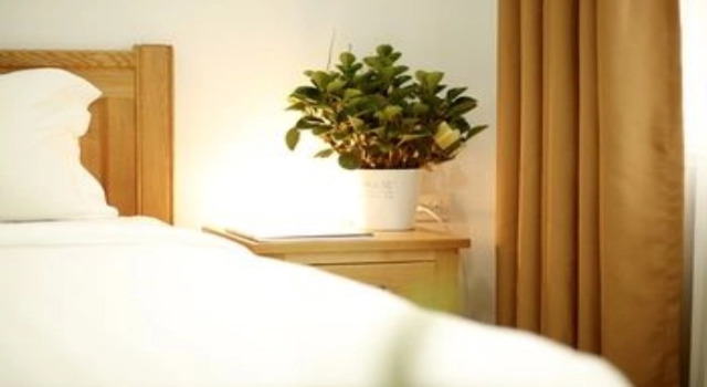 City House Pham Viet Chanh Apartment 11
