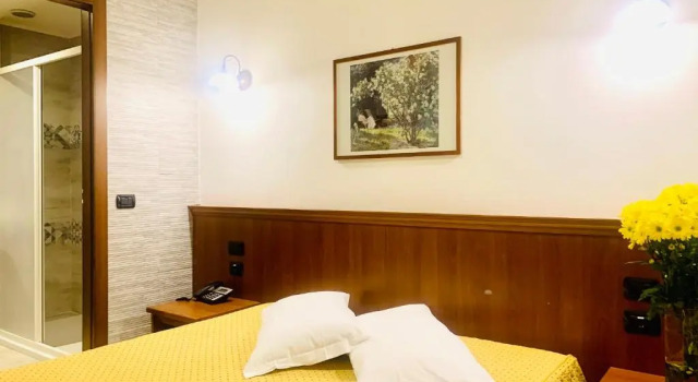 Двухместный номер Standard Hotel Astrid