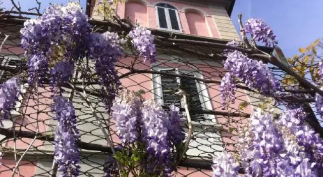 Villa Arianna B&B, Buchen Sie Bed & Breakfast Lari Toskana