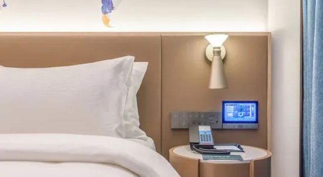 Люкс Kyriad Hotel (Shanghai Fengcheng)