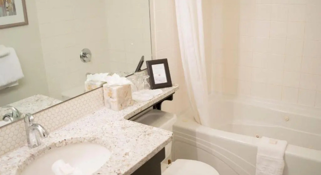 Dvoulůžkový s manželskou postelí Apartmá The Georgetown Inn