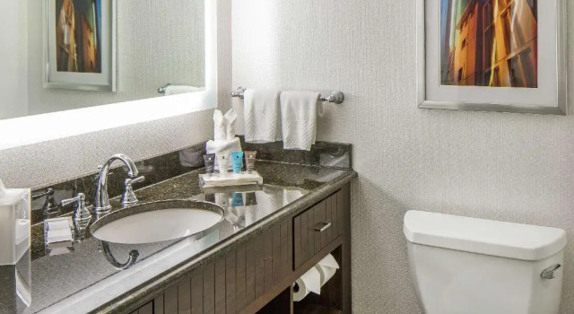 Двухместный номер High Floor Premium View Hilton Minneapolis