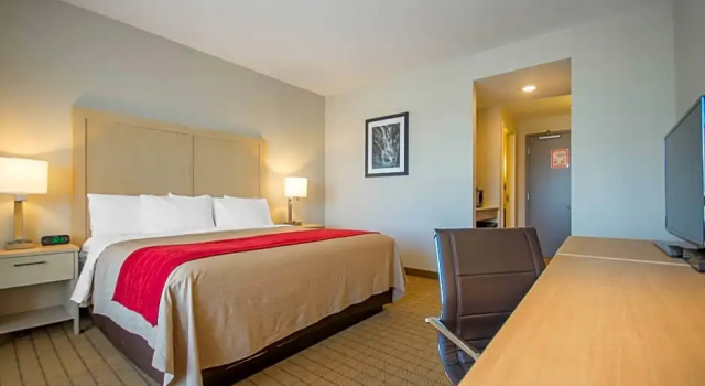 Двухместный номер Standard Цокольный этаж Comfort Inn & Suites