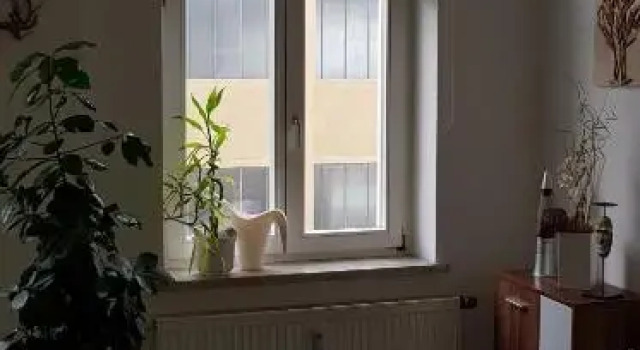 FeWo im Herzen Reichenbachs