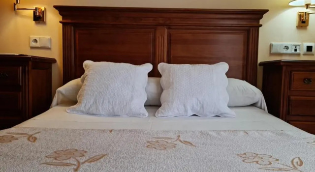 Двухместный номер Standard Hotel Plateros
